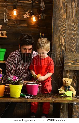 Family Day. Greenhouse. Bearded Man And Little Boy Love Nature. Father And Son. Fathers Day. Happy G
