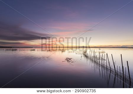 Albufera Of Valencia