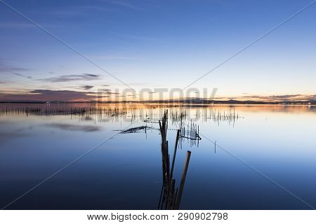 Albufera Of Valencia