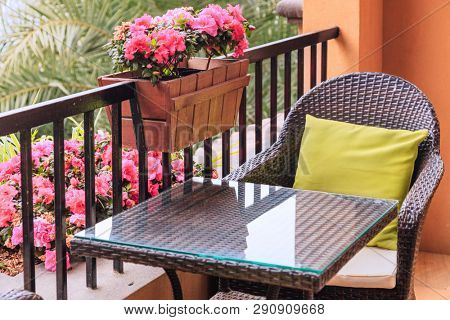 Ratten table and armchair with pillows on the balcony , by potted flowers of pink azalea on the balustrade with green palm trees background.