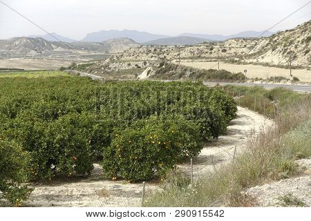 Torremendo Landscape In Spain On An Overcast Day
