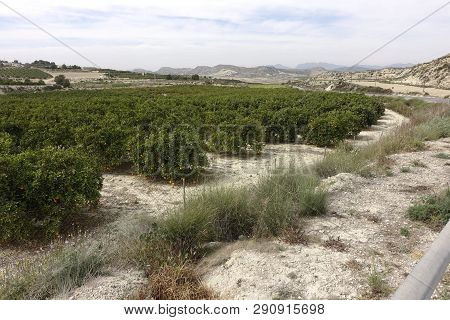 Torremendo Landscape In Spain On An Overcast Day