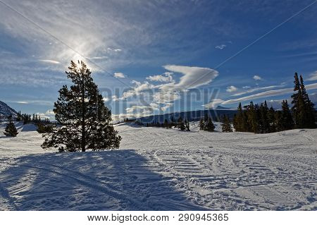 Carcross Desert In Winter,  Often Considered The Smallest Desert In The World