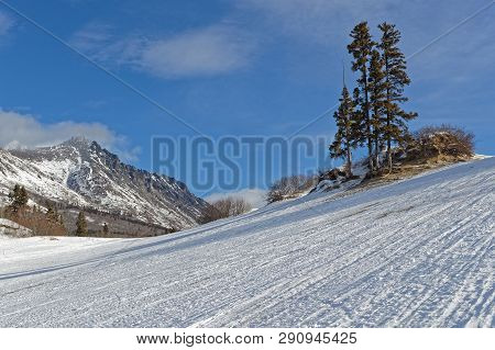 Carcross Desert In Winter,  Often Considered The Smallest Desert In The World