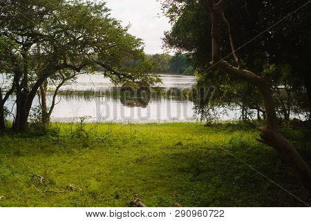 Elephant Taking A Bath In The River Of Chitwan National Park