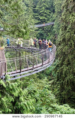 Vancouver - Jun 29, 2011: Visitors Exploring Rainforest Vegetation Through The Capilano Cliff Walk, 