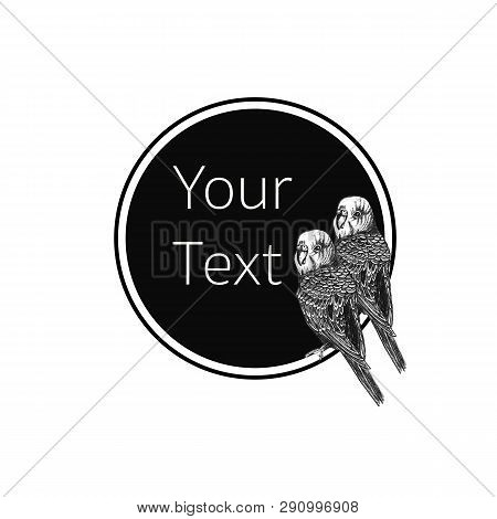 Hand Drawn Round Frame With Parrots . Linear Graphic Disign. Black And White Image.