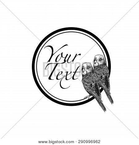 Hand Drawn Round Frame With Parrots . Linear Graphic Disign. Black And White Image.