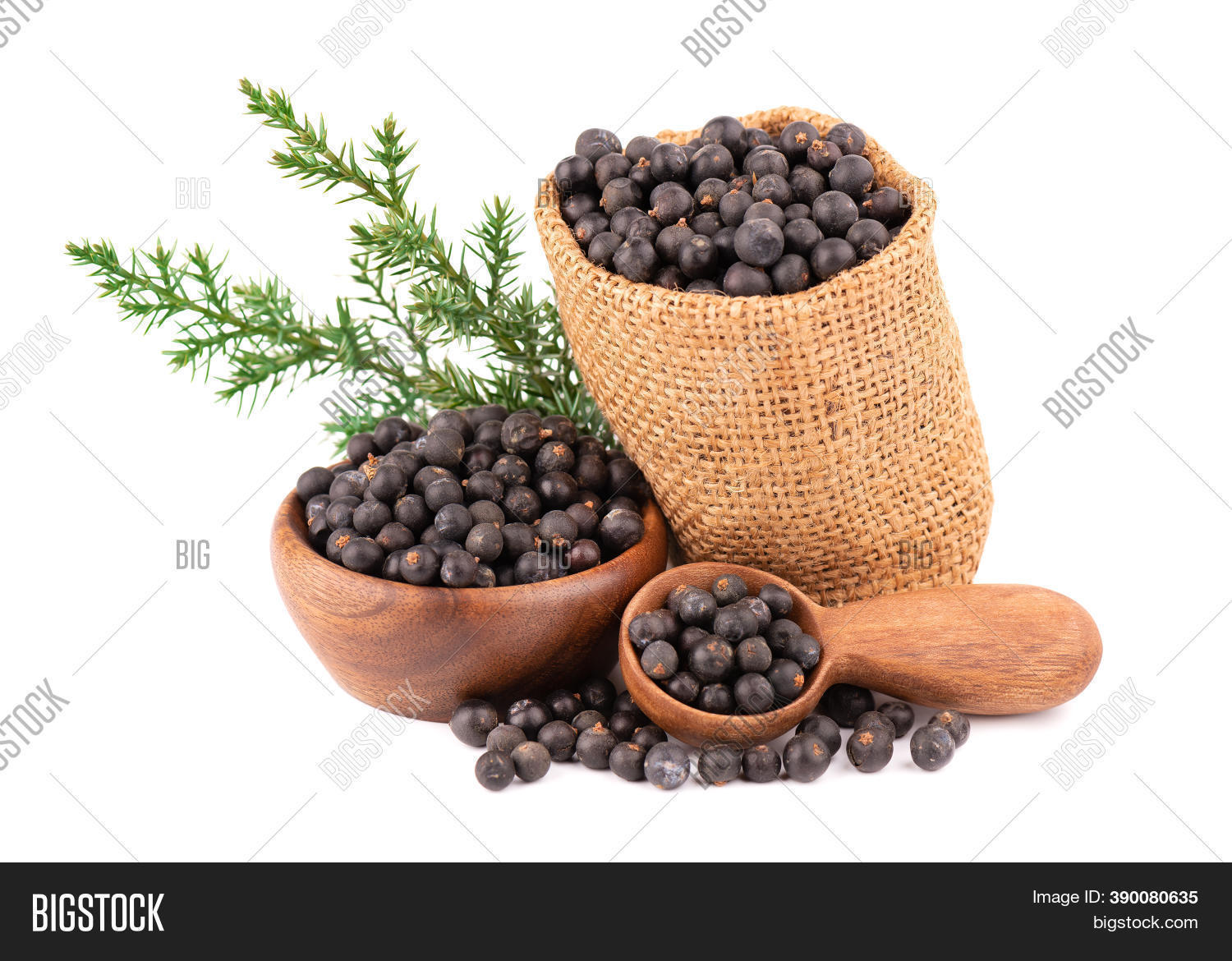 Dry Juniper Berries Image & Photo (Free Trial) Bigstock