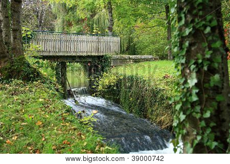 Şelale orman Bridge'de