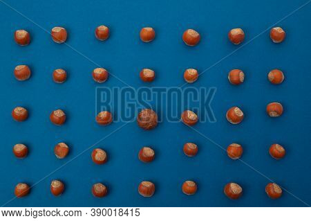 Nuts Are Laid Out One By One In A Row