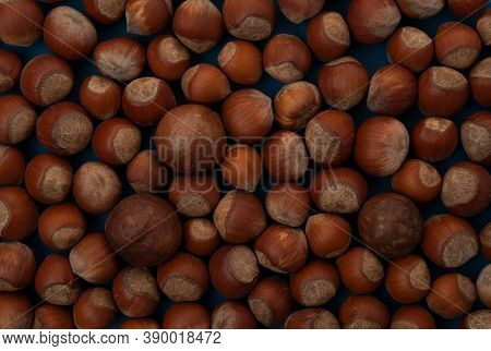 Close Up View Of Hazelnuts With Macadamia Nuts On Blue Background