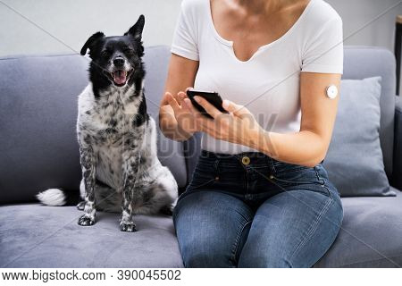 Woman Testing Glucose Level With Continuous Glucose Monitor On Mobile Phone