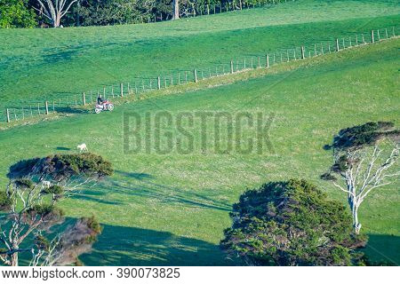 Waiheke Island New Zealand - October 5 2020; Waiheke Island Rural Scene Rolling Land And Trees In Mo