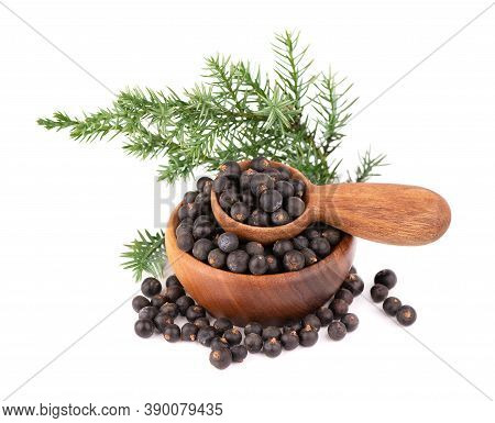 Dry Juniper Berries With A Green Branch, Isolated On White Background. Common Juniper Fruits In Wood