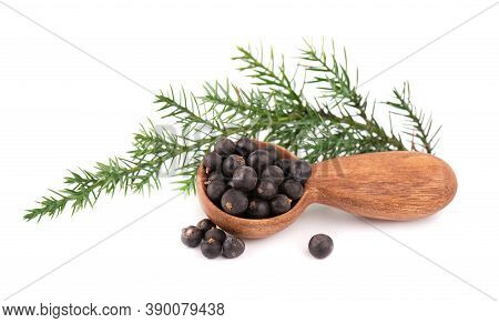 Dry Juniper Berries With A Green Branch, Isolated On White Background. Common Juniper Fruits In Wood