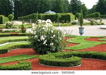 Belo jardim Ornamental
