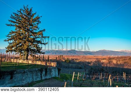 Winter Sunset In The Vineyards Of Collio Friulano