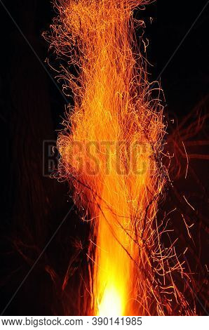 Flaming Tree In The Dark