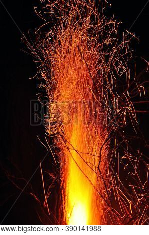Flaming Tree In The Dark