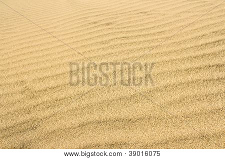 A felszínen a homokos sivatagban