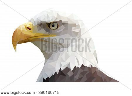 Polygonal Vector Illustration Of Bald Eagle Isolated