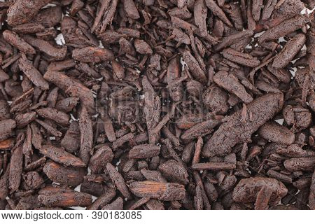 Close Up Macro Shot Of Sticks Of Agar Wood Or Agarwood Isolated On White Background The Incense Chip