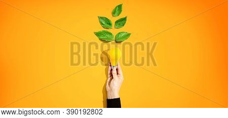 Person Holding A Light Bulbs With Green Leaves