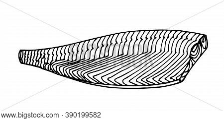 Prepared Fillet Of A Salmon, Delicious Food, Decorative Element For Restaurant Seafood Menu, Vector 