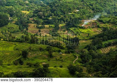 Bird Eye View Of Agricultural Village In Sri Lanka. Which Has More Paddyfields And Greeneries