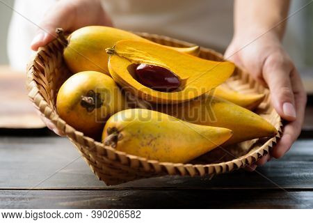 Eggfruit Or Canistel In A Basket Holding By Hand, Thai Fruit, In Thai Names Such As Xiantao, Lamut K