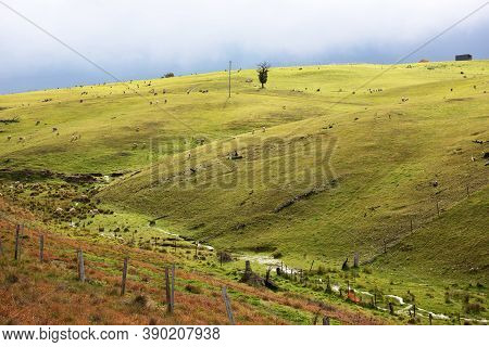 Lush Farmland Near Golspie In New South Wales, Australia