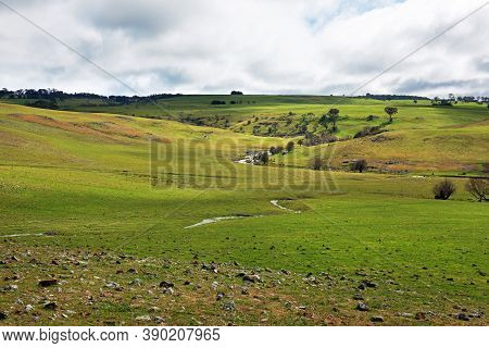 Farmland Near Golspie In New South Wales, Australia