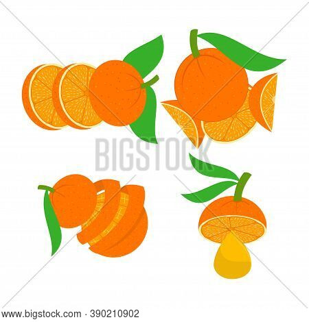 Orange Illustration Design Section Template Set Vector