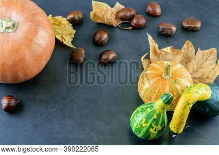 Halloween And Castañada Background With Decorative Pumpkins, Chestnuts And Dry Autumn Leaves On The 