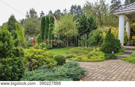 Landscaping Of A Garden With A Bright Green Lawn, Colorful Shrubs, Decorative Evergreen Plants And S