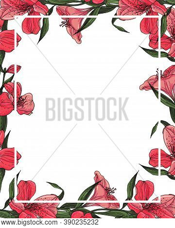 Vector Flower Frame With Pink Red Alstroemeria Flower.
