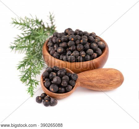 Dry Juniper Berries With A Green Branch, Isolated On White Background. Common Juniper Fruits In Wood