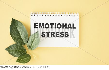 Text Sign Showing Emotional Stress. Conceptual Photo Controlling Feelings In Oneself Maintain Compos