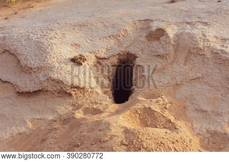 The Hole In The Sand Dunes Of A Nocturnal Lizard Rodent Or Fox. Not To Be Found In The Daytime.