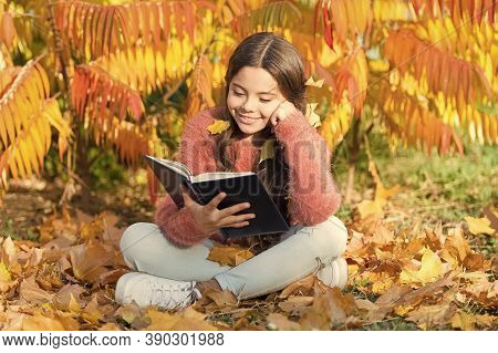 Hobby And Interests. Child Enjoy Reading. Schoolgirl Study. Study Every Day. Girl Read Book Autumn D