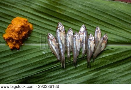 Op View Of Indian Carplet Fish Or Mourala Fish Isolated On Turmeric Leaf With Turmeric Paste