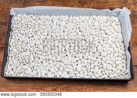 Large Raw Husked White Kidney Beans Scattered On A Metal Tray Covered With Parchment Paper On The Ru