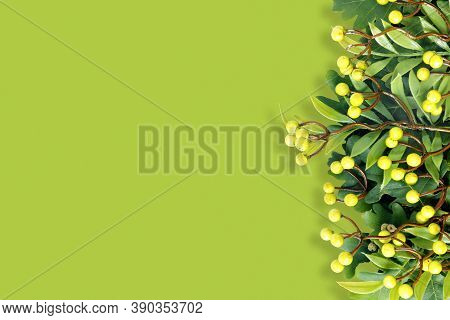 Autumn Oak And Rowan Branches With Red Berries On Green Background.
Flat Lay, Top View, Copy Space C