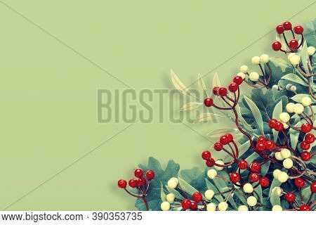 Autumn Oak And Rowan Branches With Red Berries On Green Background.
Creative Paper Trending Backgrou