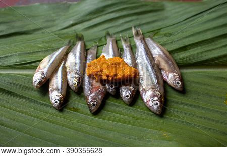 Closeup Of Mourala Fish Or  Indian Carplet Fish Isolated On Turmeric Leaf With Turmeric Paste