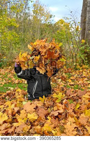 Kid Playing In Yellow And Orange Autumn Leaves