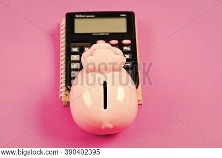 Credit Concept. Calculate Profit. Piggy Bank Pink Pig And Calculator. Business Administration. Finan