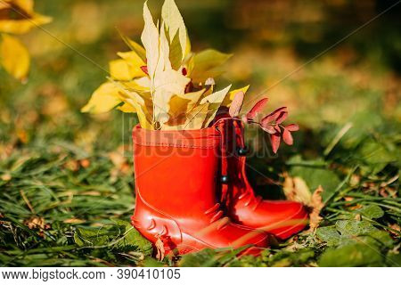 Red Kids Gumboots With Yeallow Leaves Inside. Autumn Coziness With Foliage Inside The Boots. Golden 