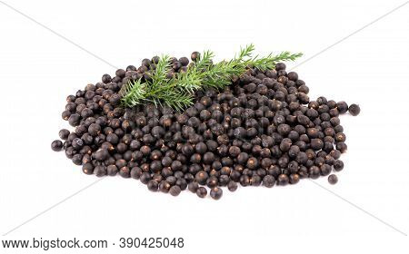 Dry Juniper Berries With Green Branch, Isolated On White Background. Common Juniper Fruits.